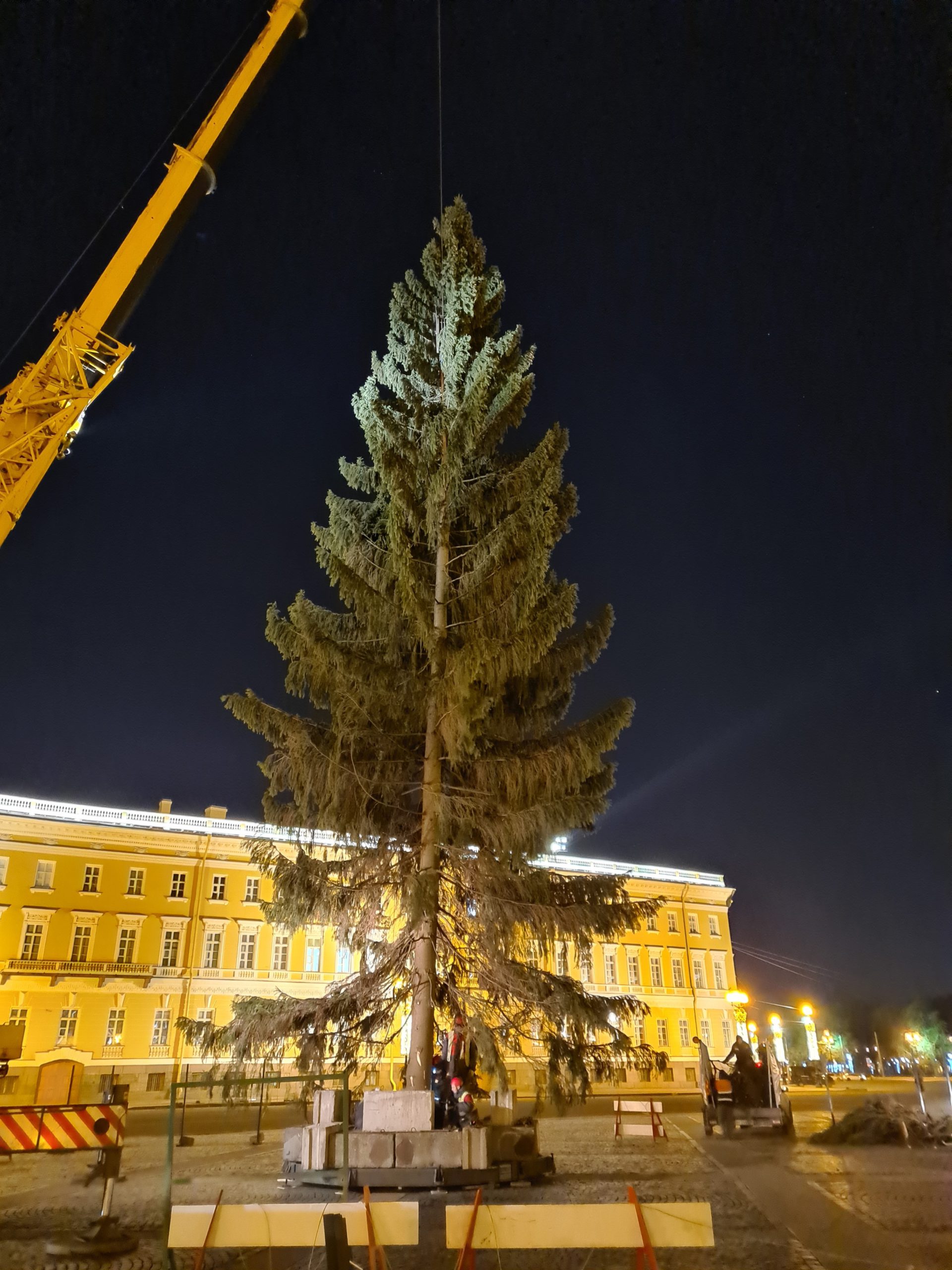 елка в дворцовой площади